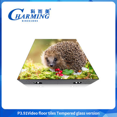 زمین رقص P3.91 Viedo For Home Hotel Office GOB Led IP65 سطح رقص داخلی ضد آب برای رویداد