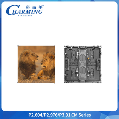 P3.91 صفحه نمایش LED ضد آب IP65 500x1000MM اجاره