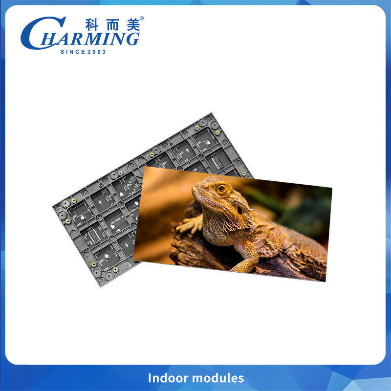 P2 320*160mm LED Video Wall Panel Small Pixel Pitch Indoor Advertising Screen LED Module